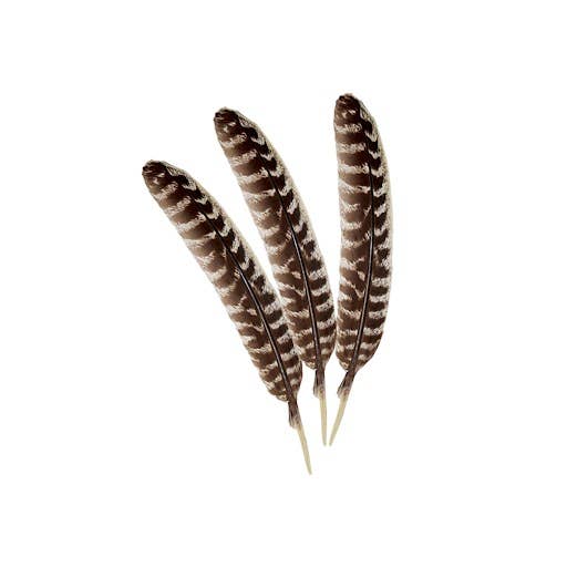 Smudge Feather, Turkey (4–5 in.)