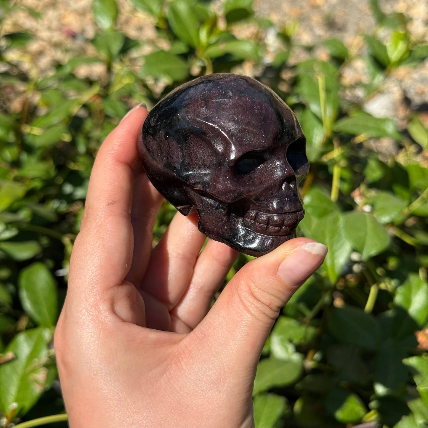 Garnet Arfvedsonite Skull