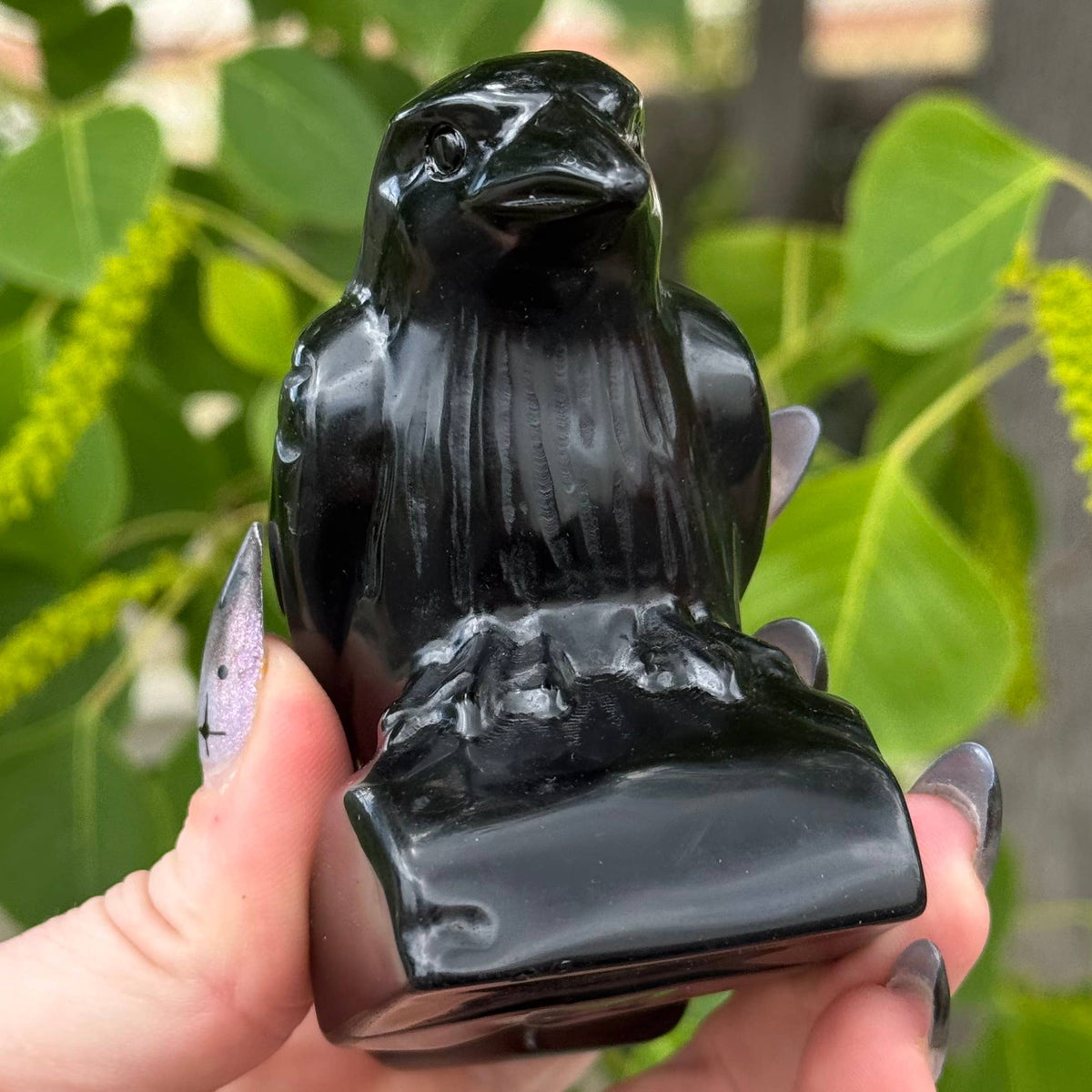 Obsidian Crow