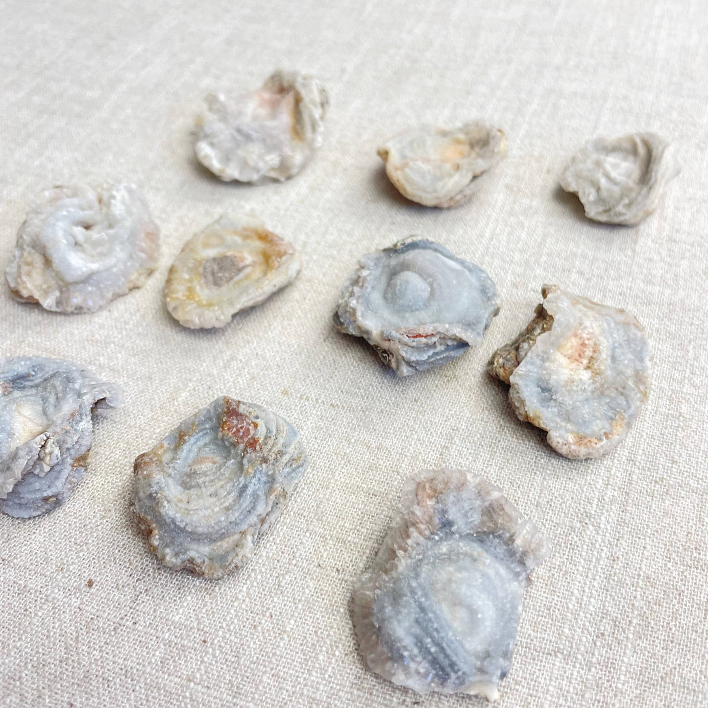 Natural Chalcedony Druzy Rosette