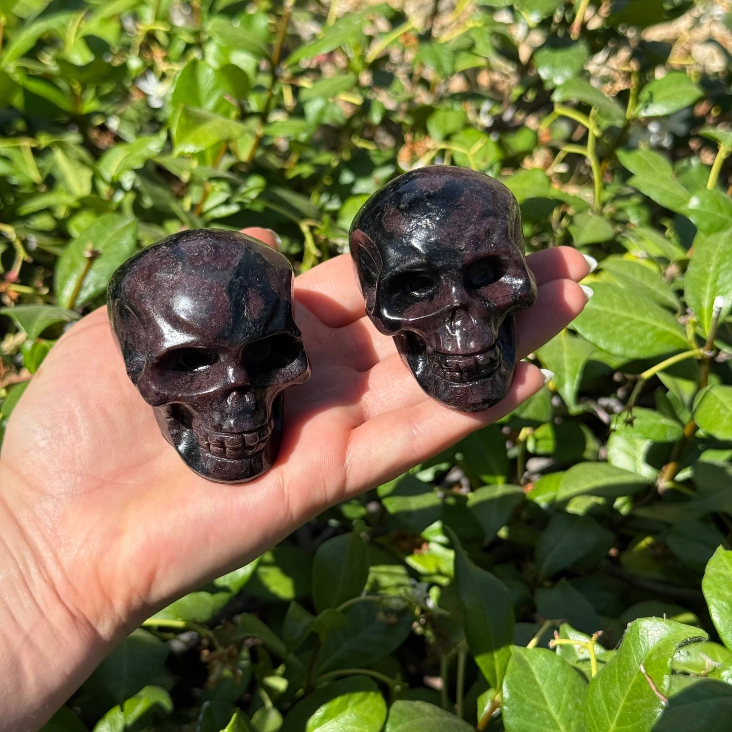 Garnet Arfvedsonite Skull