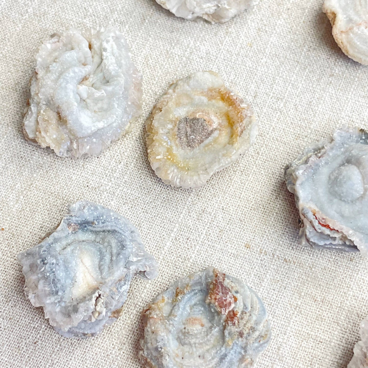 Natural Chalcedony Druzy Rosette
