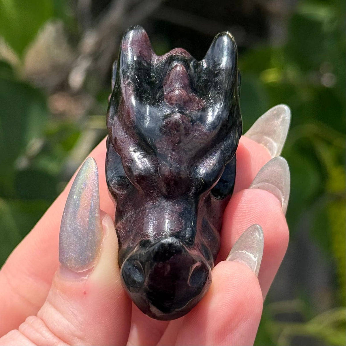 Garnet and Arfvedsonite Dragon Head 