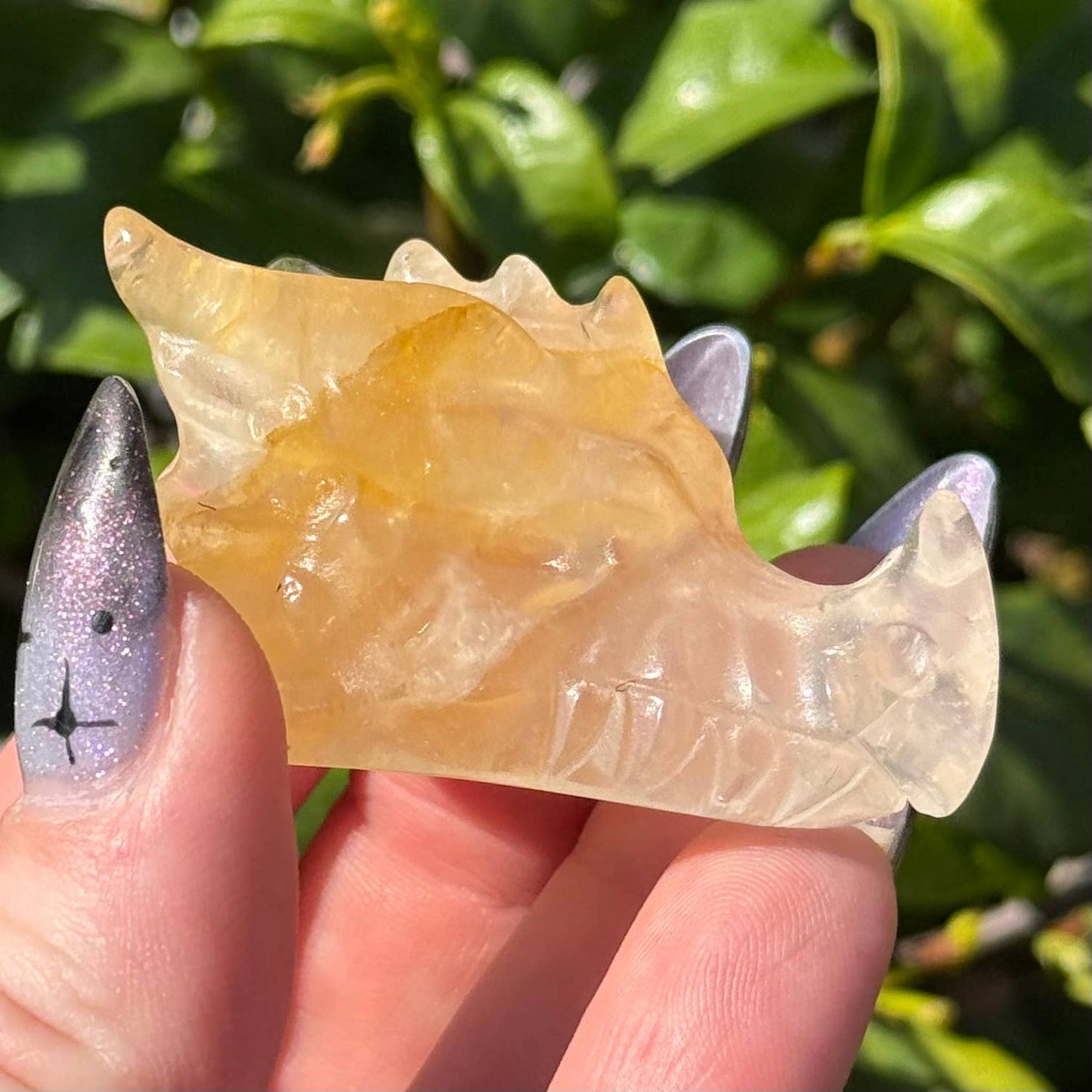 Mini Golden Healer Dragon Head