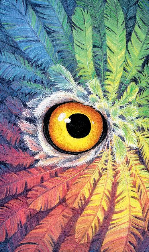 Tarot Of The Owls Mini Deck