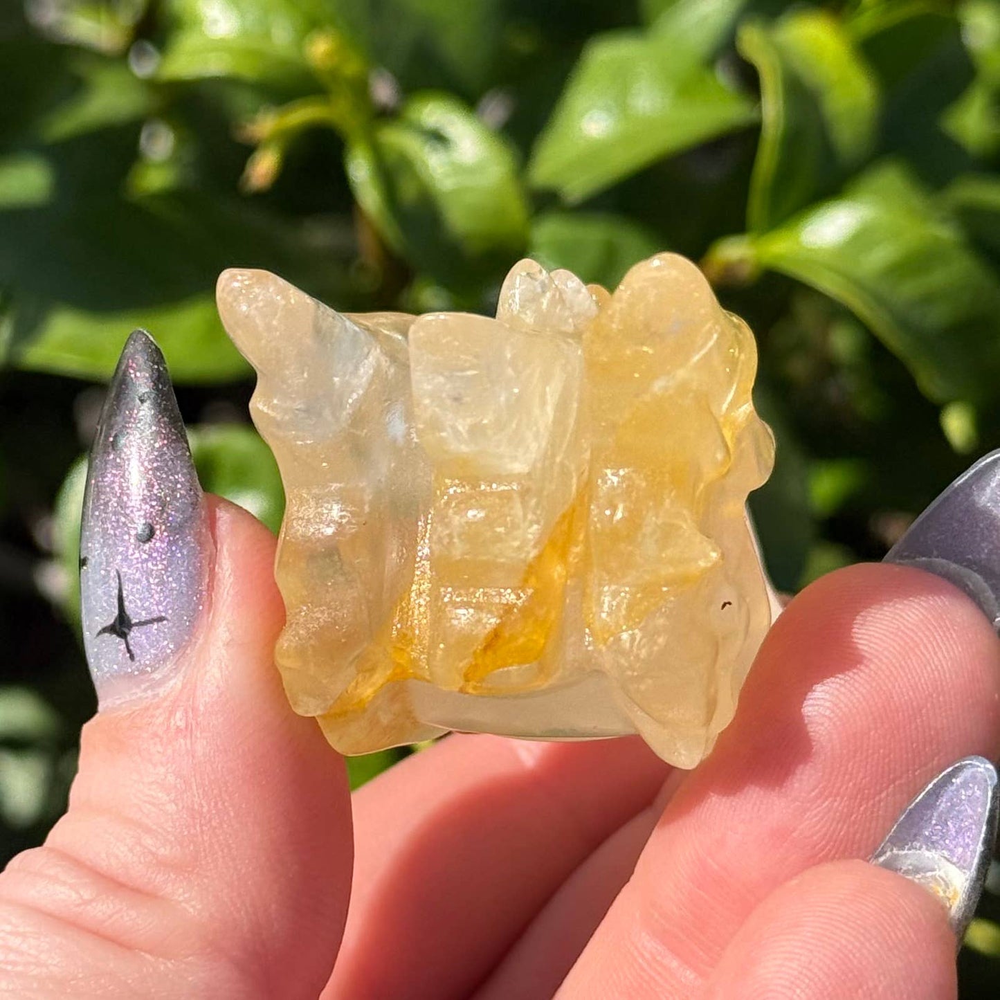 Mini Golden Healer Dragon Head