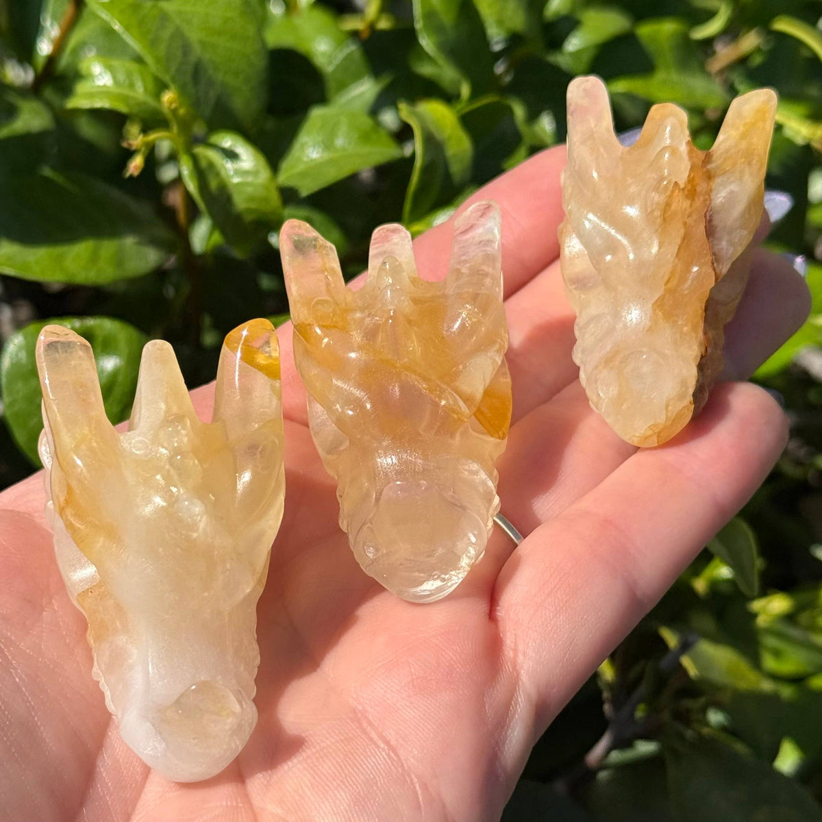 Mini Golden Healer Dragon Head