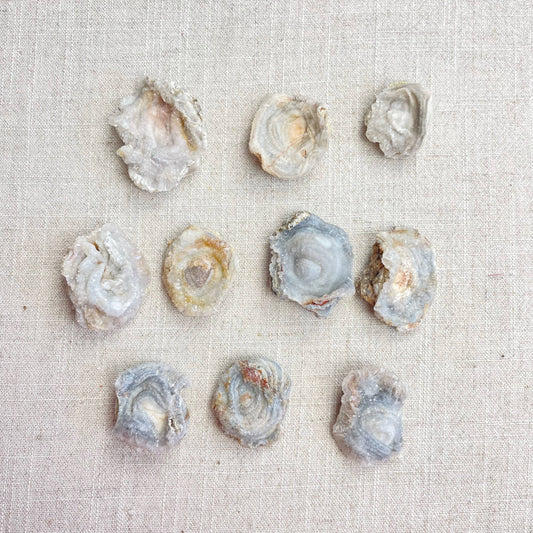 Natural Chalcedony Druzy Rosette
