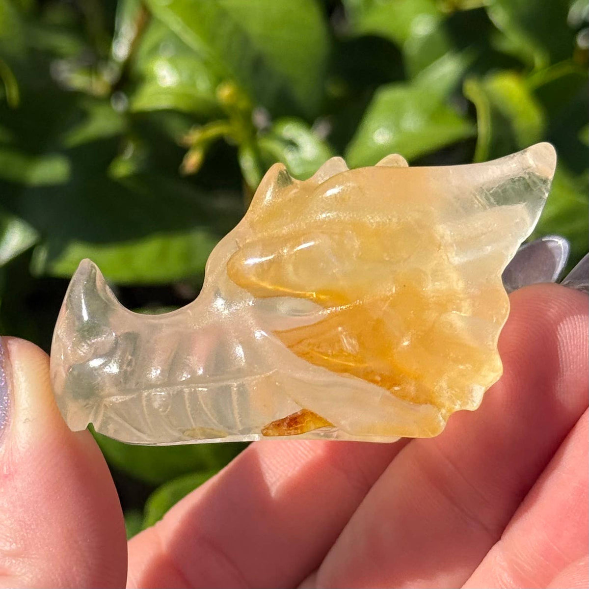 Mini Golden Healer Dragon Head