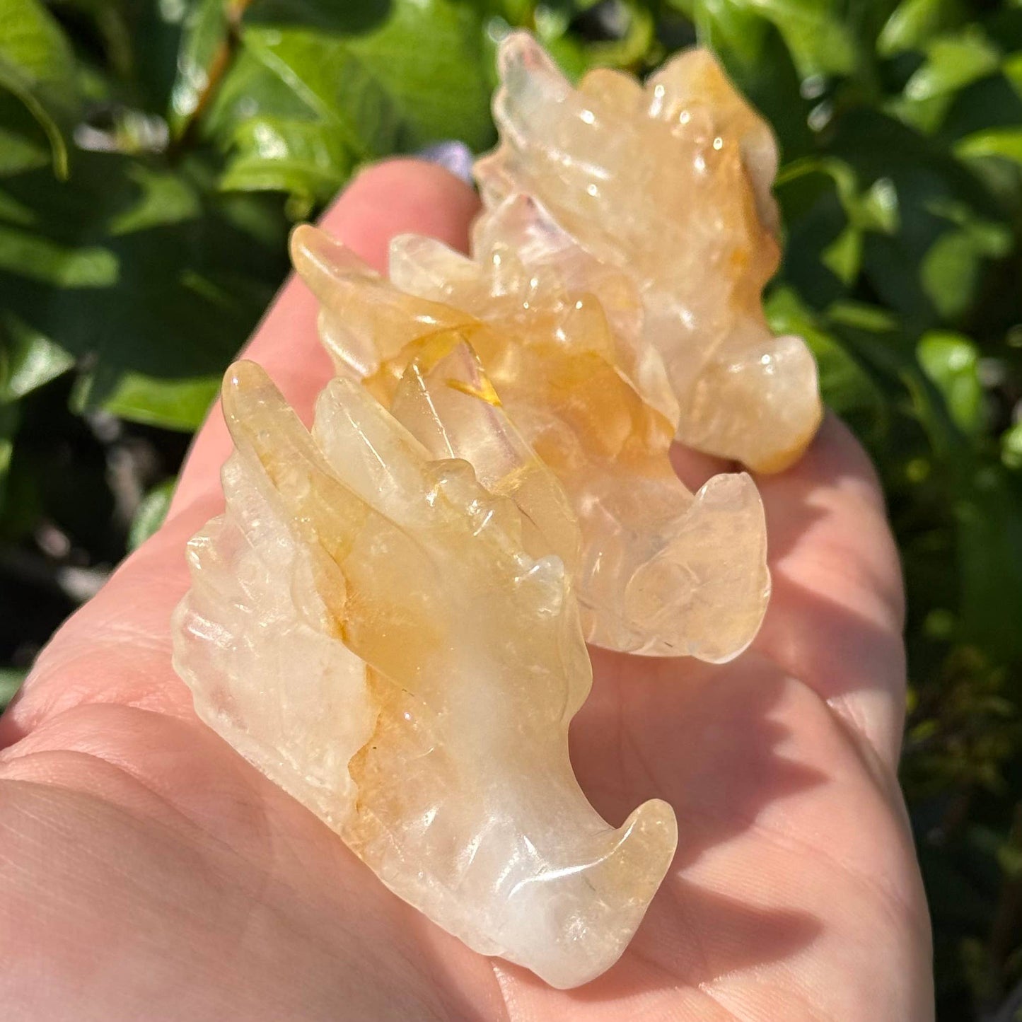 Mini Golden Healer Dragon Head