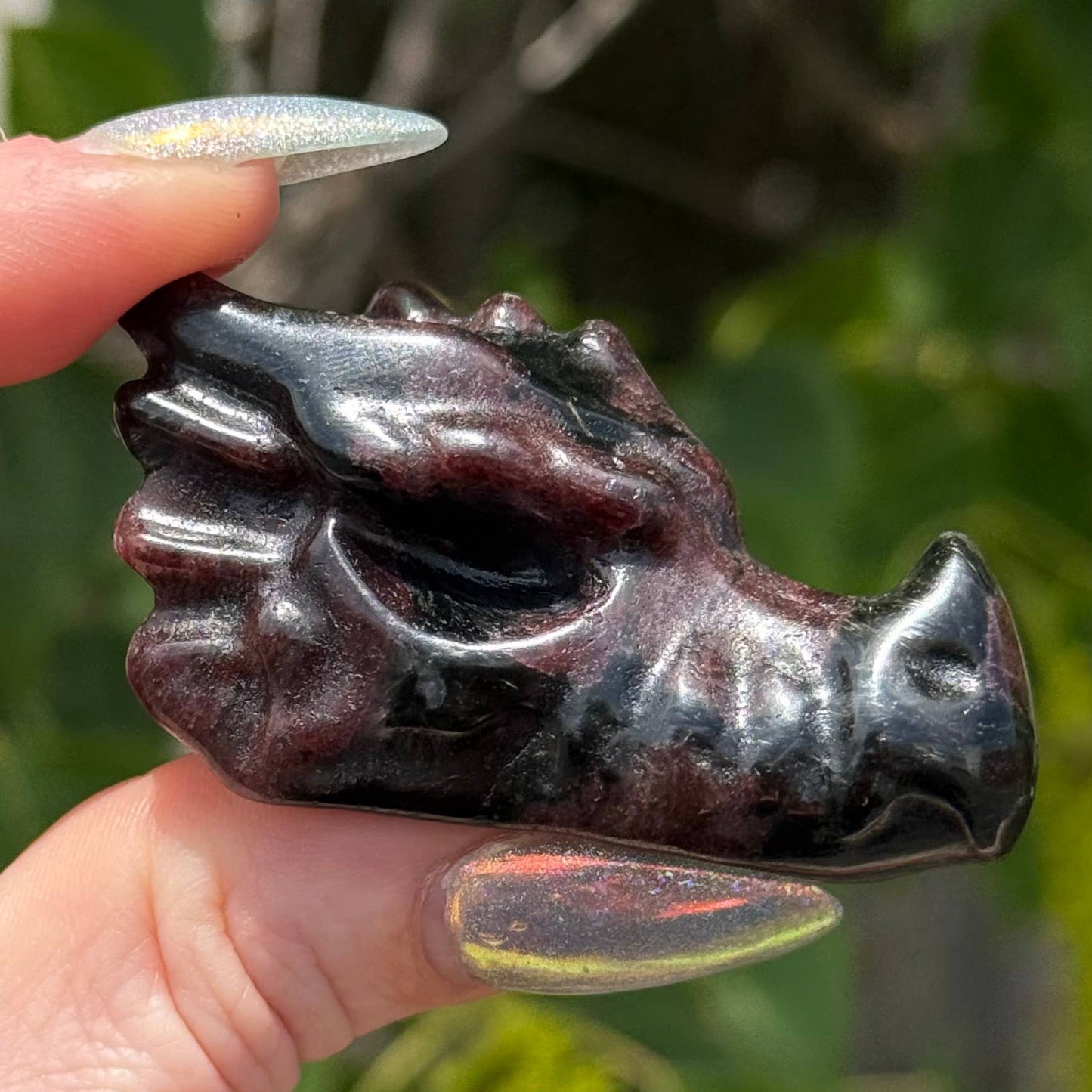 Garnet and Arfvedsonite Dragon Head 