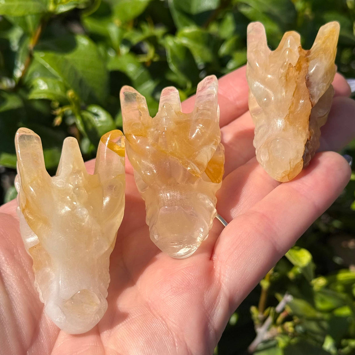 Mini Golden Healer Dragon Head
