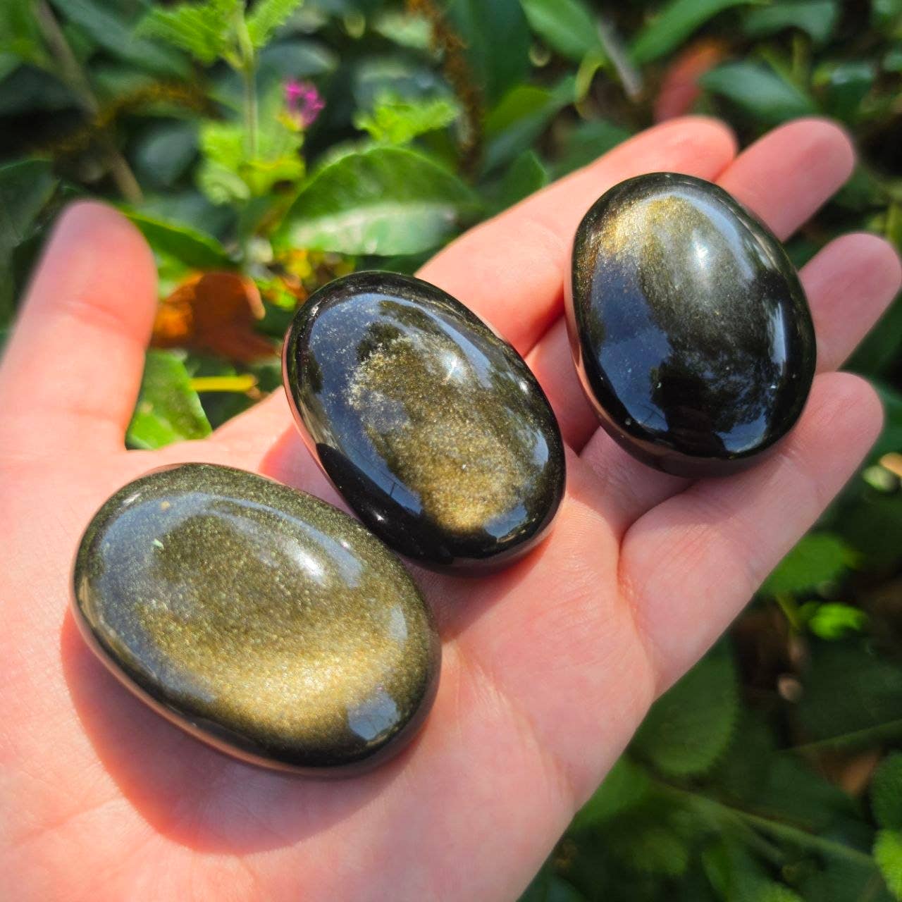 Gold Sheen Obsidian Palm Stone