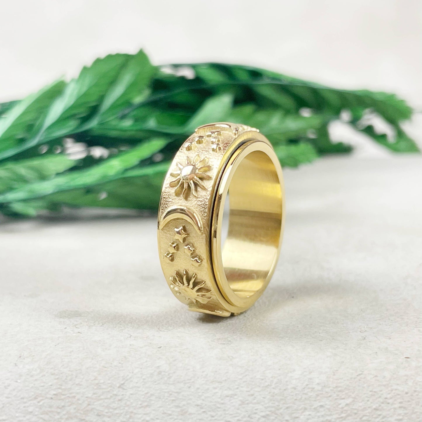 Celestial Stainless Steel Spinner Band Ring: Black / 8