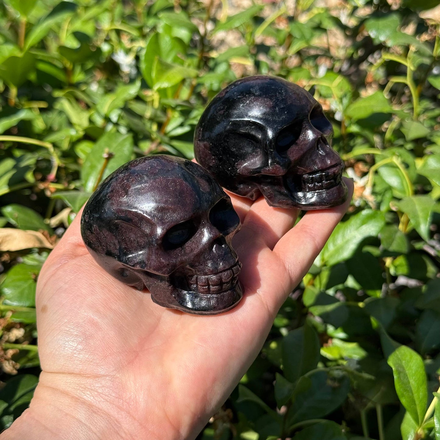 Garnet Arfvedsonite Skull